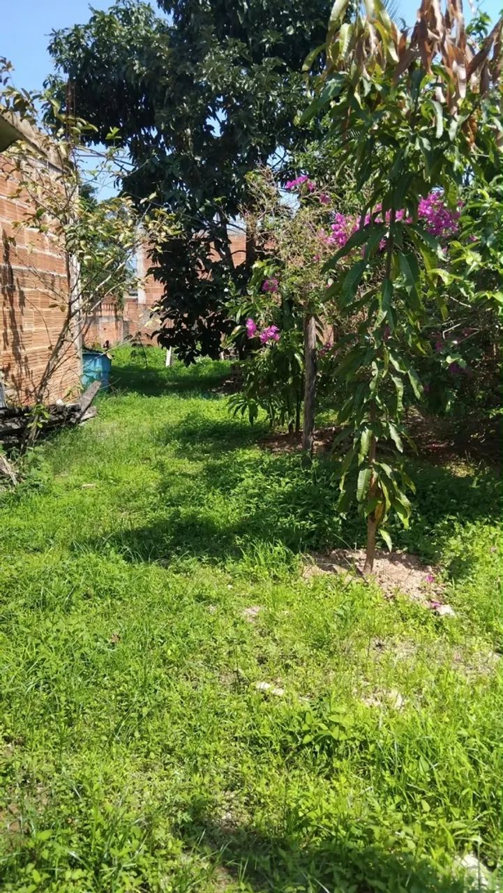 Terreno 60 mil  - Foto 2