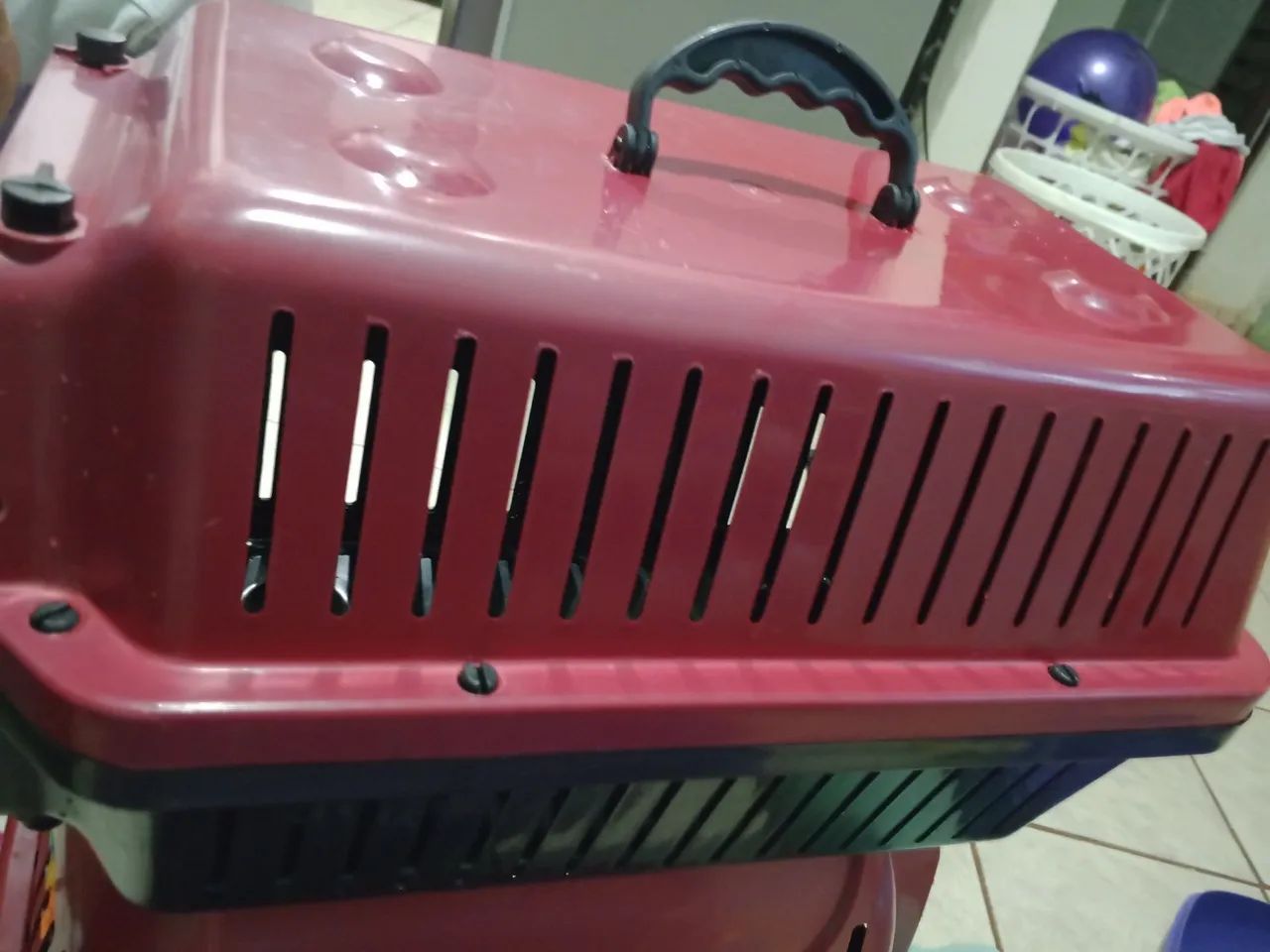 Vendo, caixa de transporte pet - Foto 2