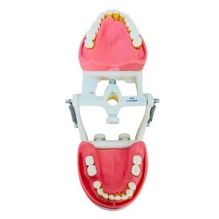 Manequim pronew de cirurgia e endo  - Foto 3