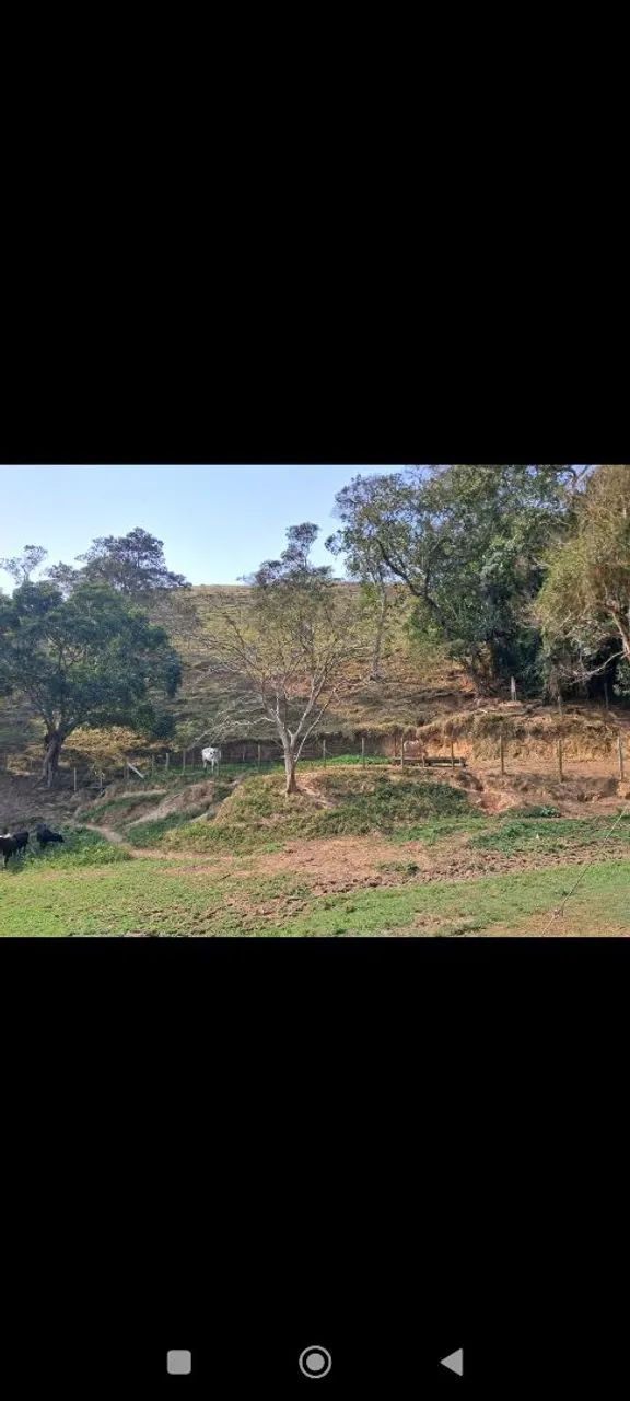 Sítio em São Luiz do Paraitinga próximo a cidade  - Foto 4