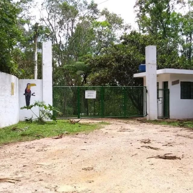 Foto - Cotia - Ressaca