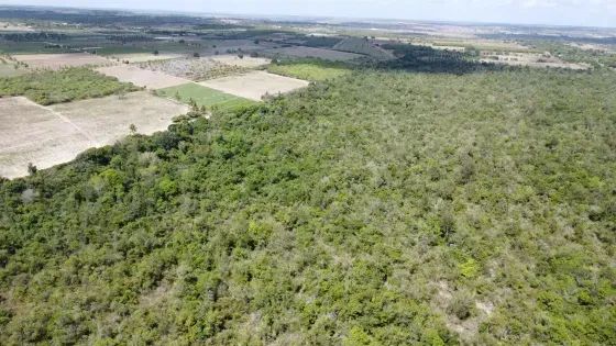 Fazenda com 270 hectares próximo a Macaíba