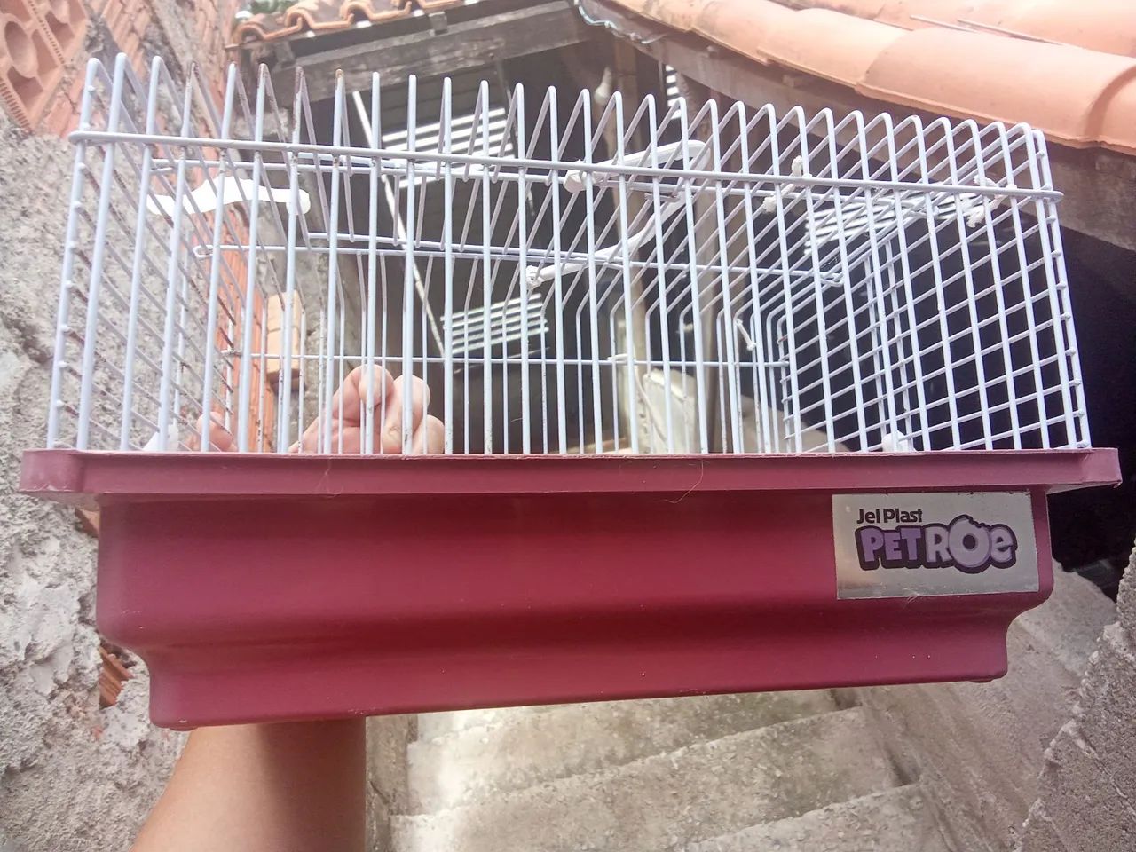 Gaiola para roedores