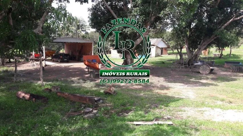 Fazenda 44 Alqueires Região Dois Irmãos - Foto 4