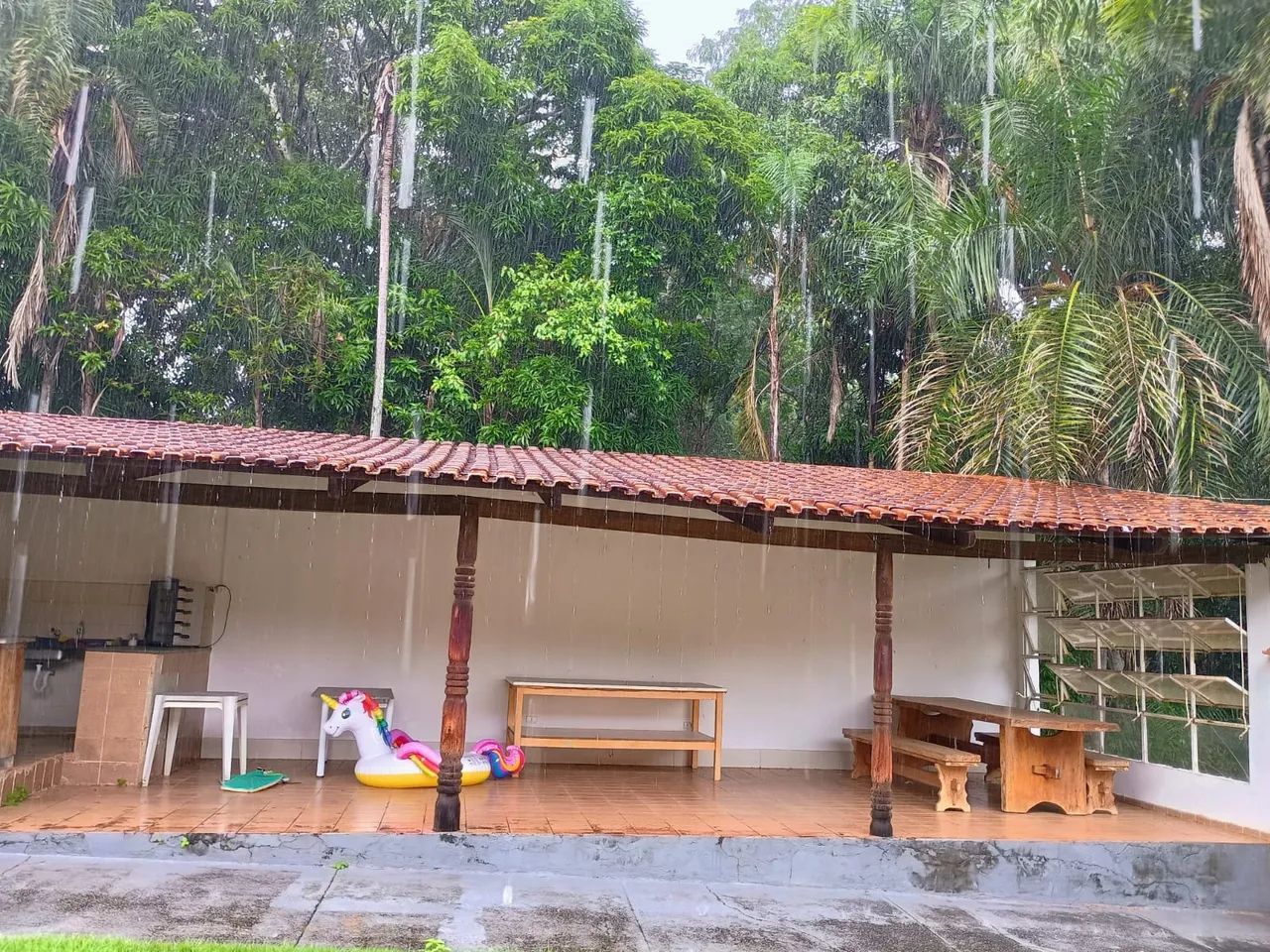 Chácara - Jardim Mariliza - Foto 2