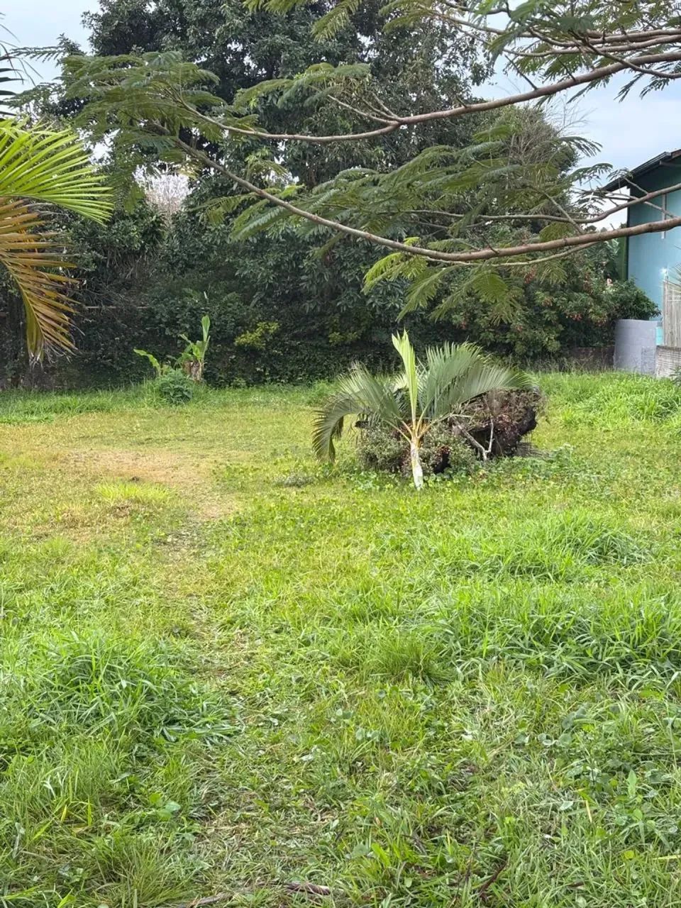 Terreno no Bairro Rio Tavares com Escritura Pública - Foto 4
