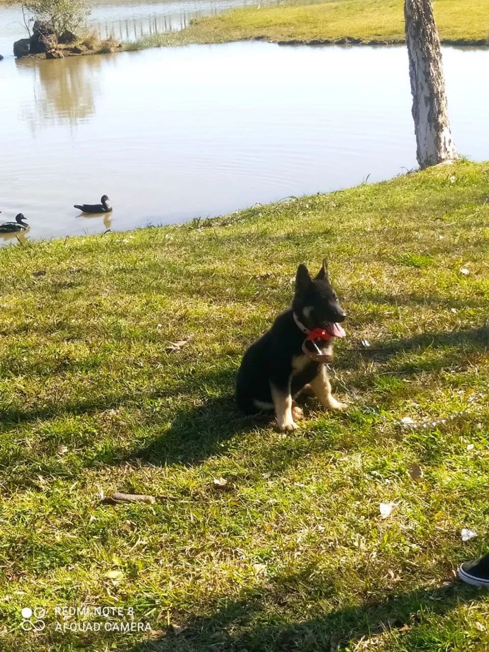 Esta pra doaçao  - Foto 2
