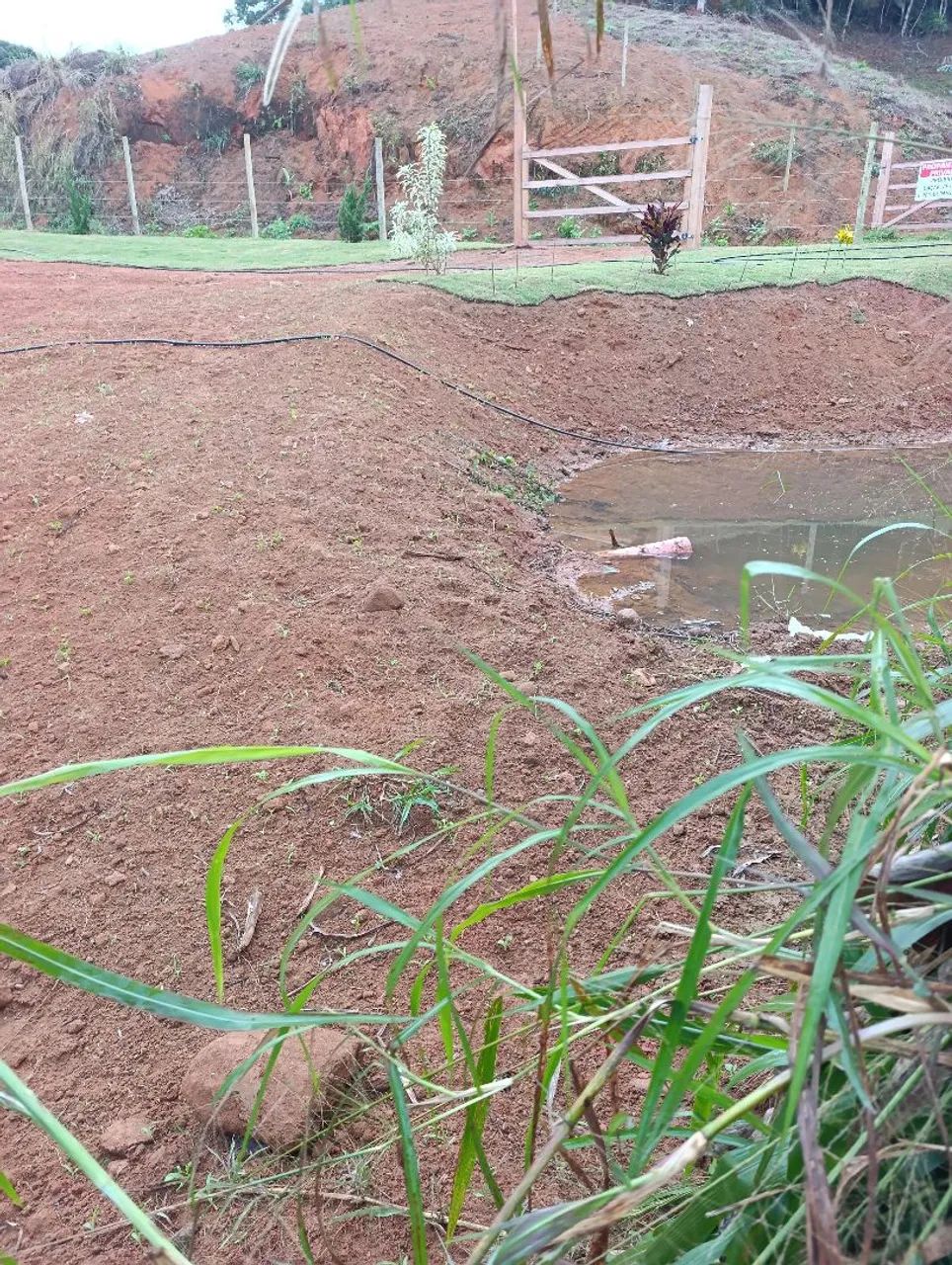 Sitio5.000m²comunida holandinha... - Foto 2