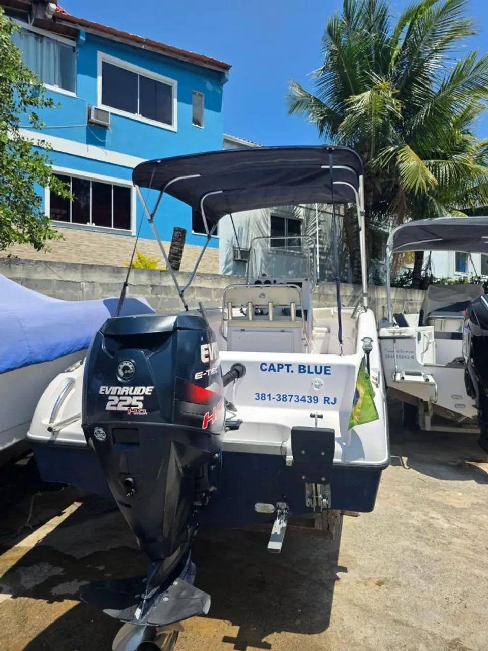 Motor de polpa Evinrude - Foto 2