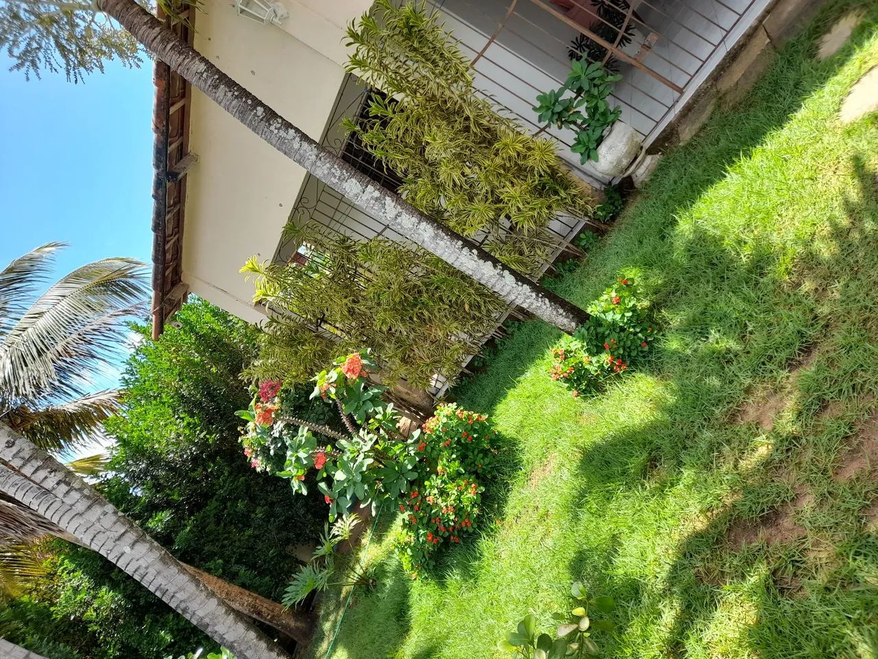 Foto - Macaíba - 