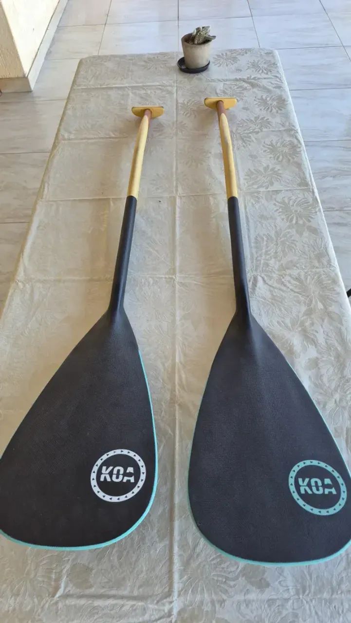 Kit com dois remos