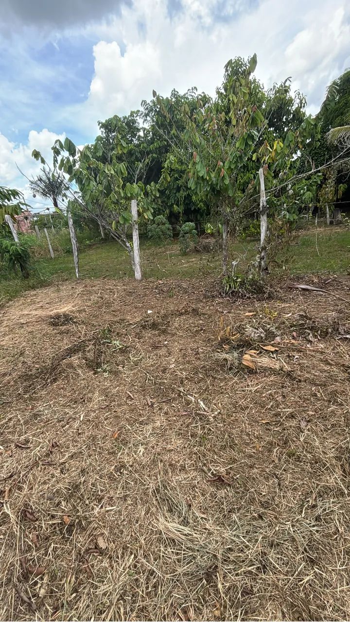 Vende- se terreno  - Foto 4