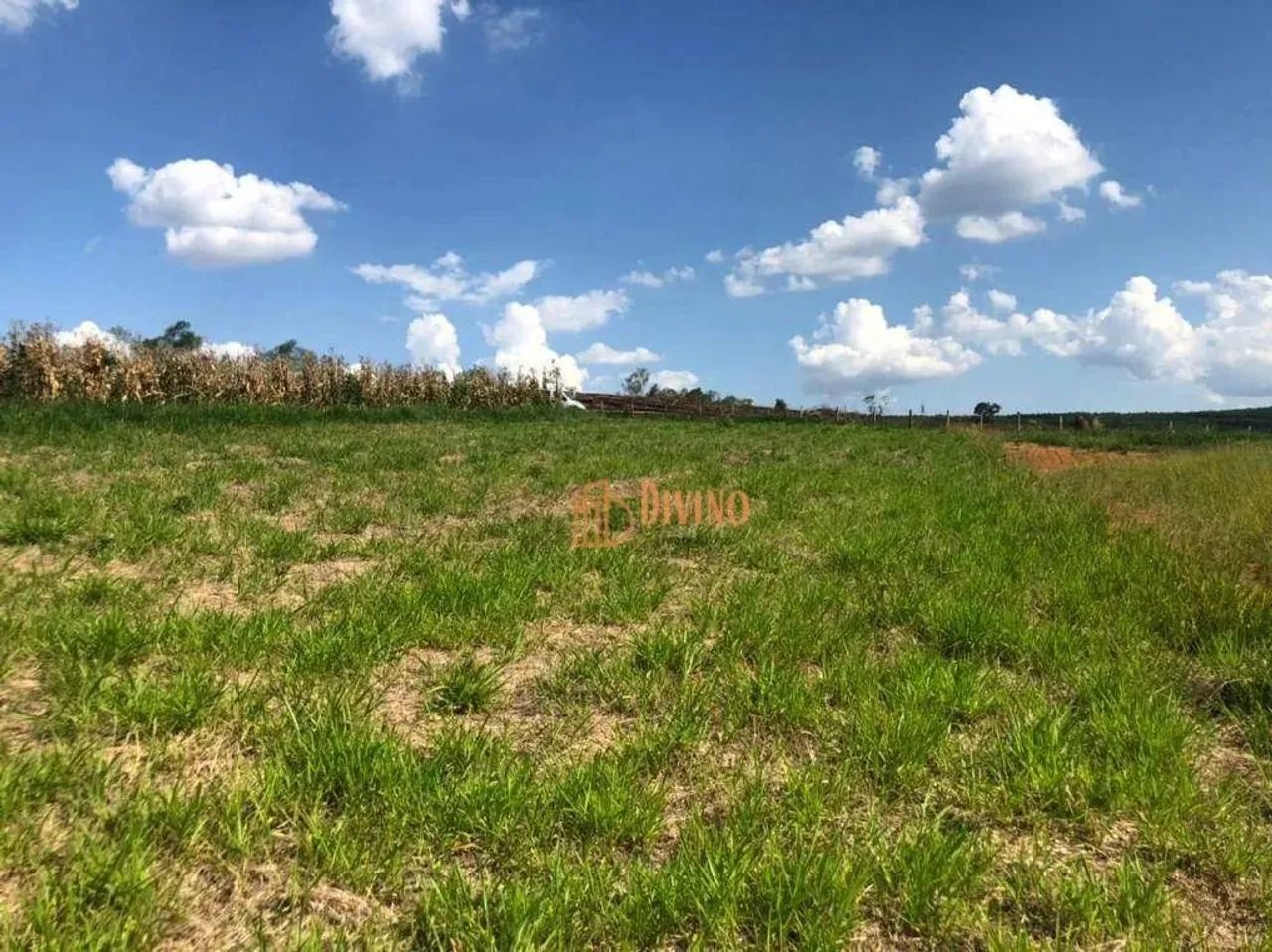 Terreno à venda, 1300 m² por R$ 140.000 - Sarapui - Araçoiaba da Serra/SP - Foto 4