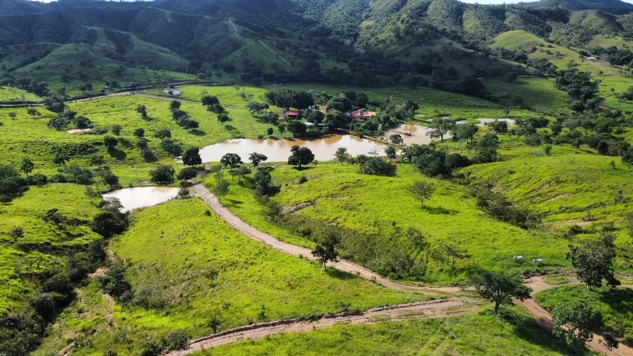 Fazenda de 32 alqueires em Padre Bernardo  - Foto 4