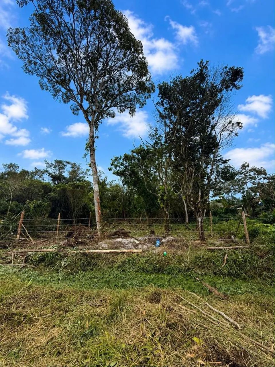 Vende terreno Praia... aceito trocas - Foto 4