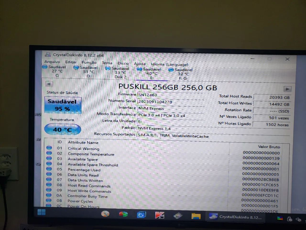 NVME PUSKILL 256 GB - Foto 4
