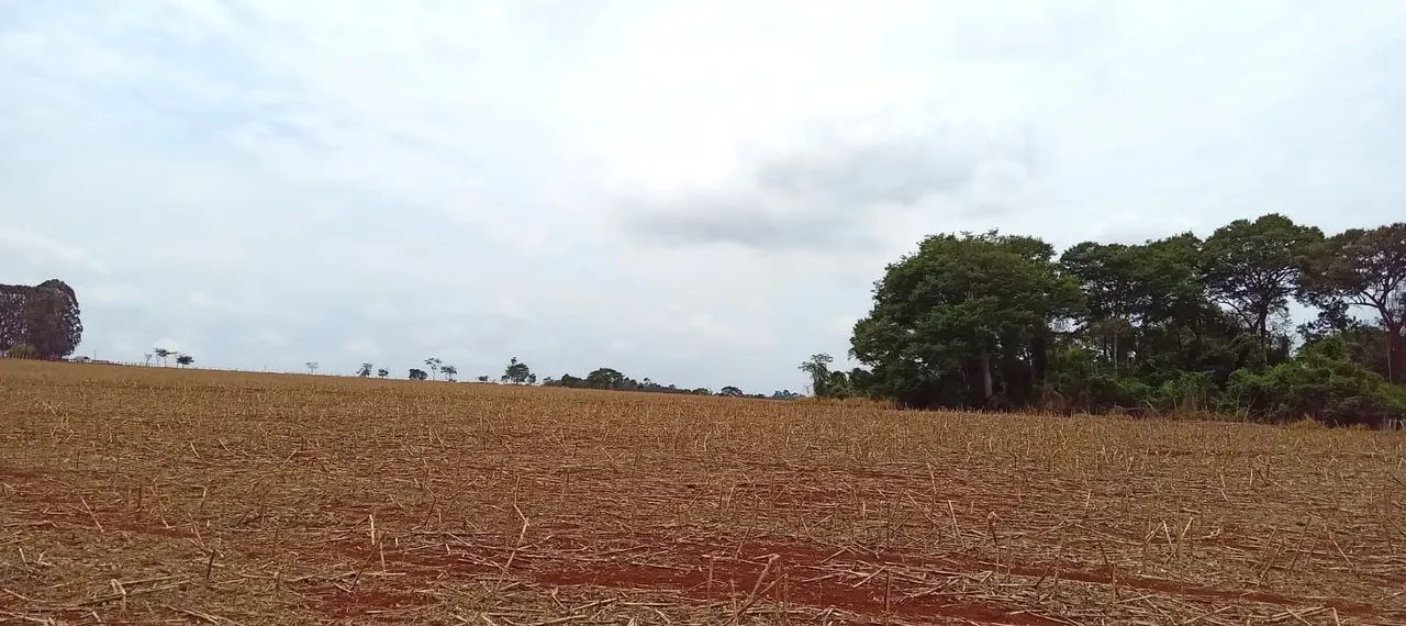 ÁREA, 245000M² ÁREA DE TERRENO À VENDA EM BAIRRO TRIUNFO - Foto 4
