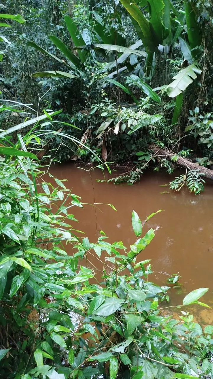 Chácaras na região do Coco Salviano - Foto 3
