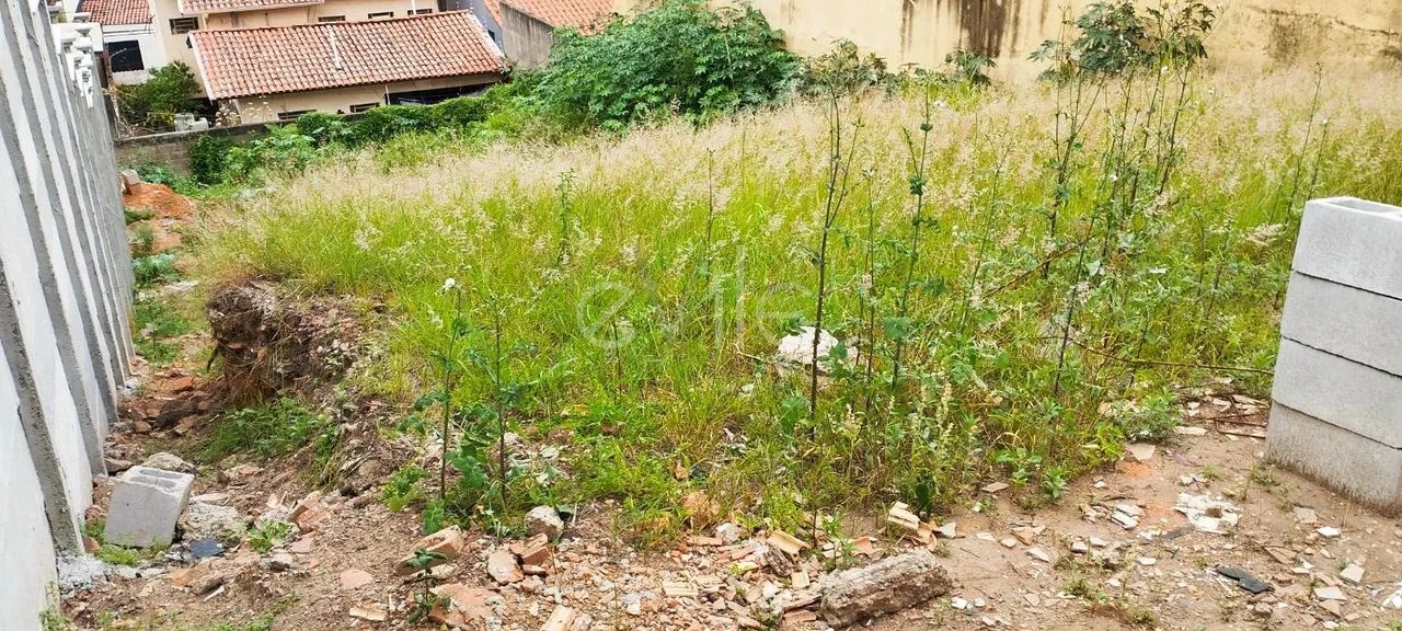terreno - Jardim Chapadão - Campinas - Foto 3