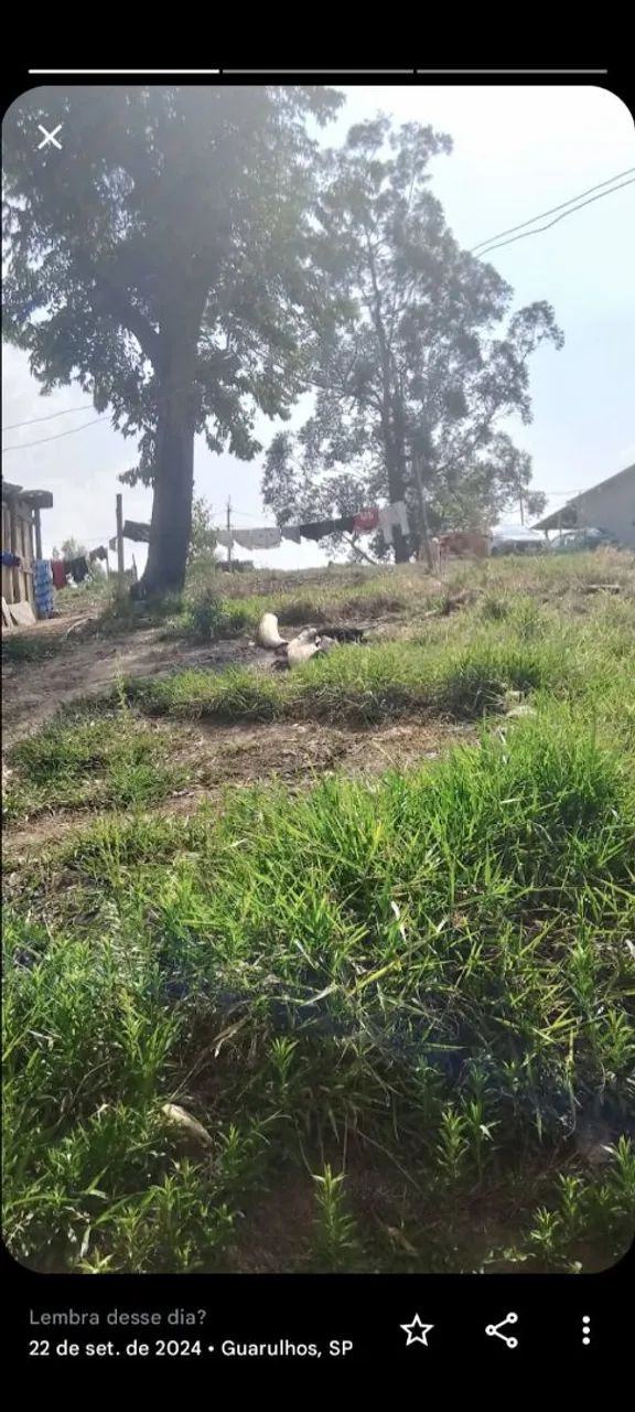 Terreno em Condomínio Abaixo do valor 