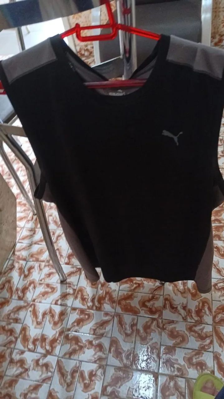 Regata Puma