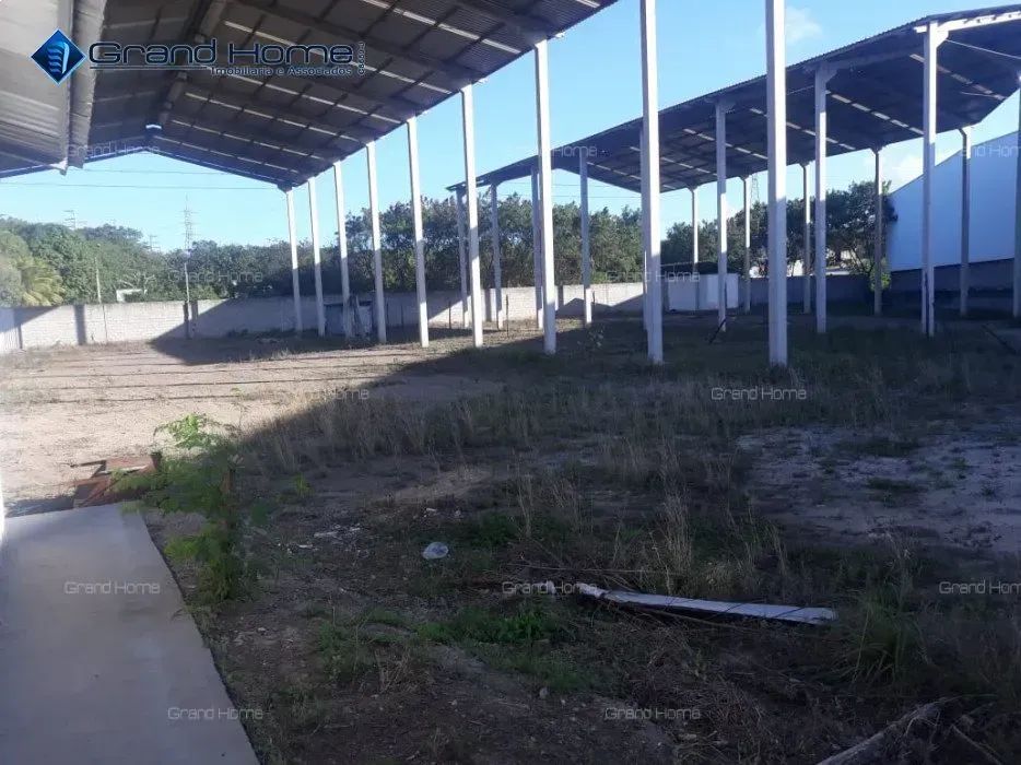 Terreno em Novo México - Foto 5