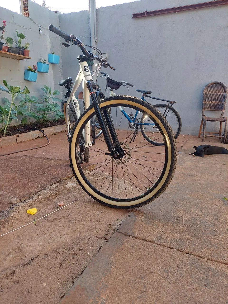 Uma bicicleta nova 