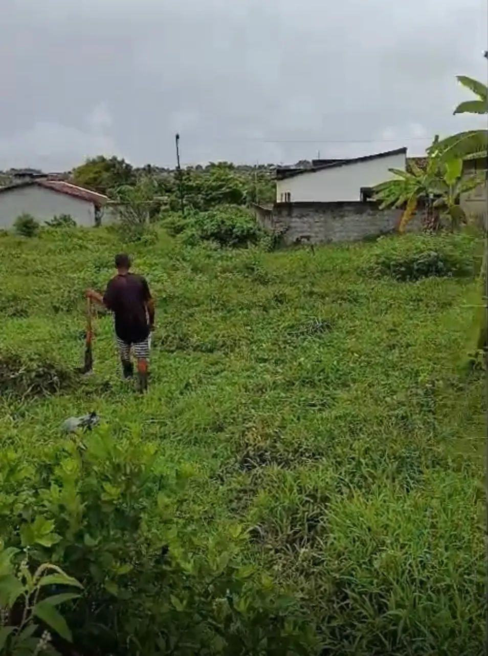 Terreno para vender no guajará 