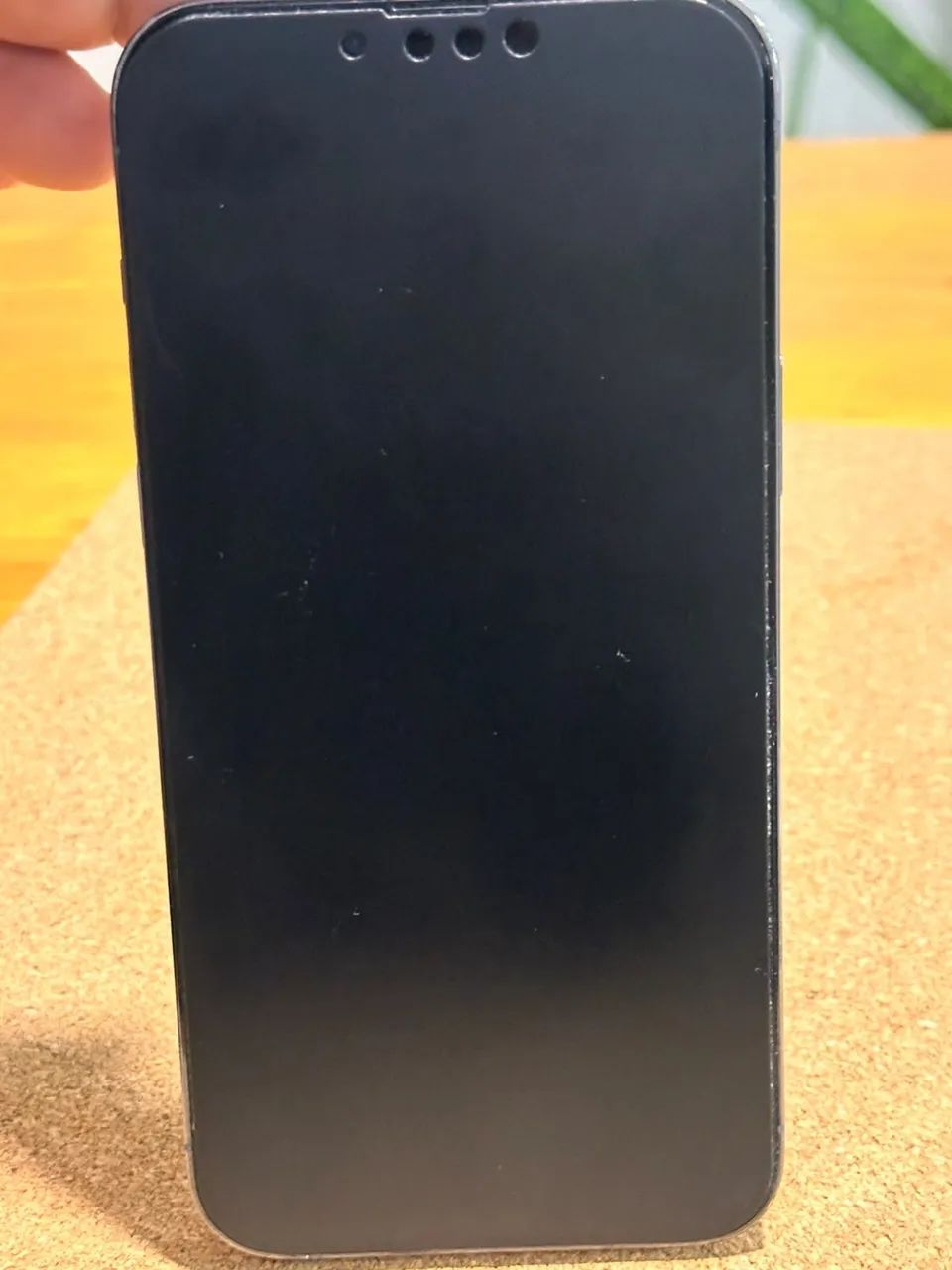 iPhone 13 Pro Max  - Foto 2