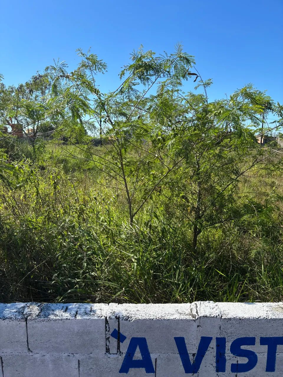 Vendo Terreno 10x25 - Foto 3