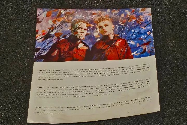 Disco de vinil (LP) Erasure - Wild! - Foto 4