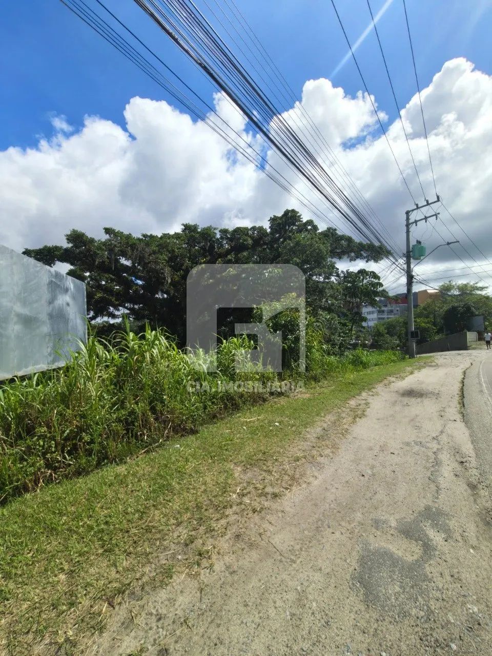 Terreno de 8.220m² à venda no Rio Tavares - Foto 2