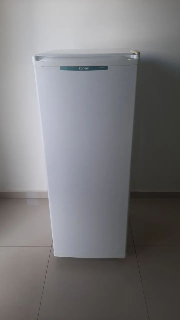 Frizzer Consul 121 litros 