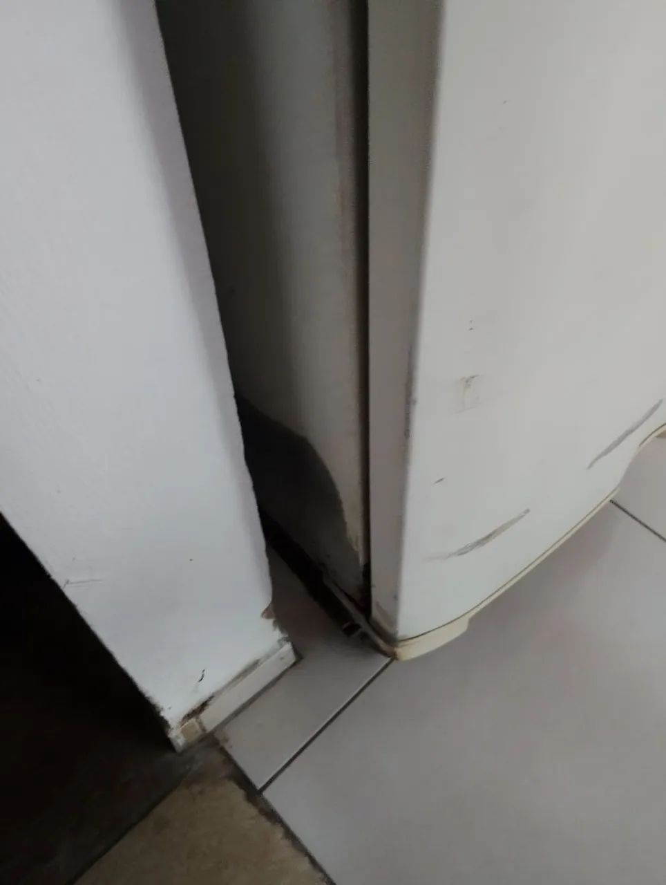 Freezer eletrolux - Foto 5