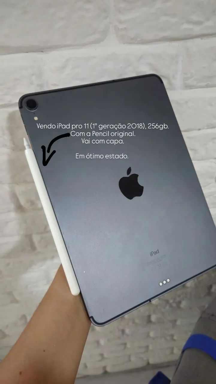 iPad pro 11 (1° geração - 2018) 256gb
