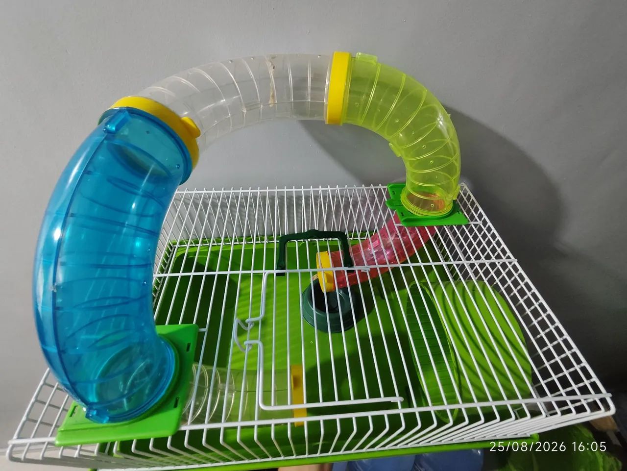 Casa para hamster ? - Foto 3