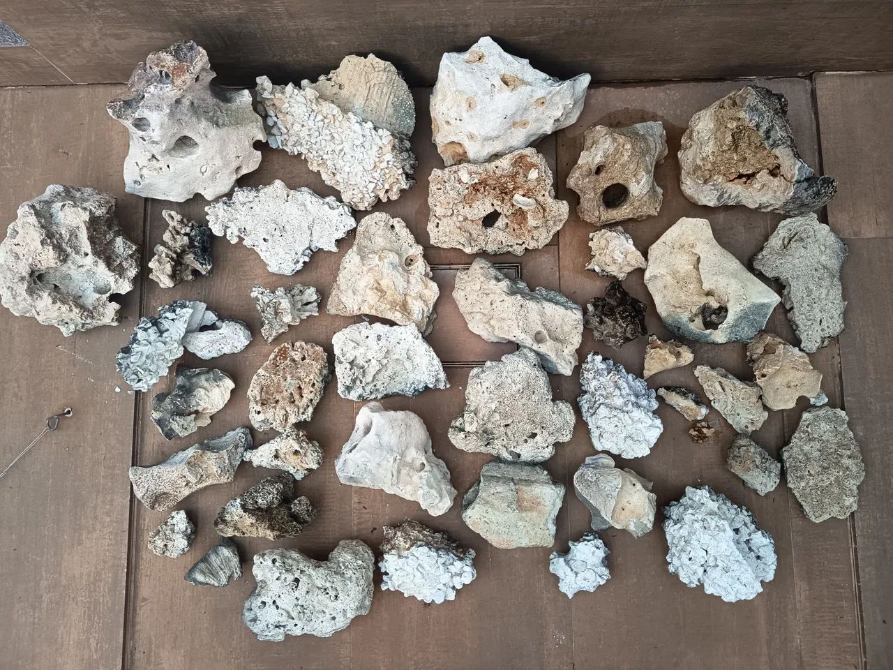 Rochas Sansibar aquário  - Foto 2