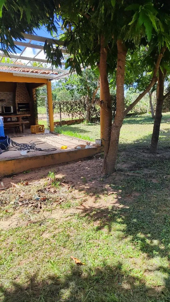 FAZENDA A  VENDA EM POSSE/GO  - Foto 2