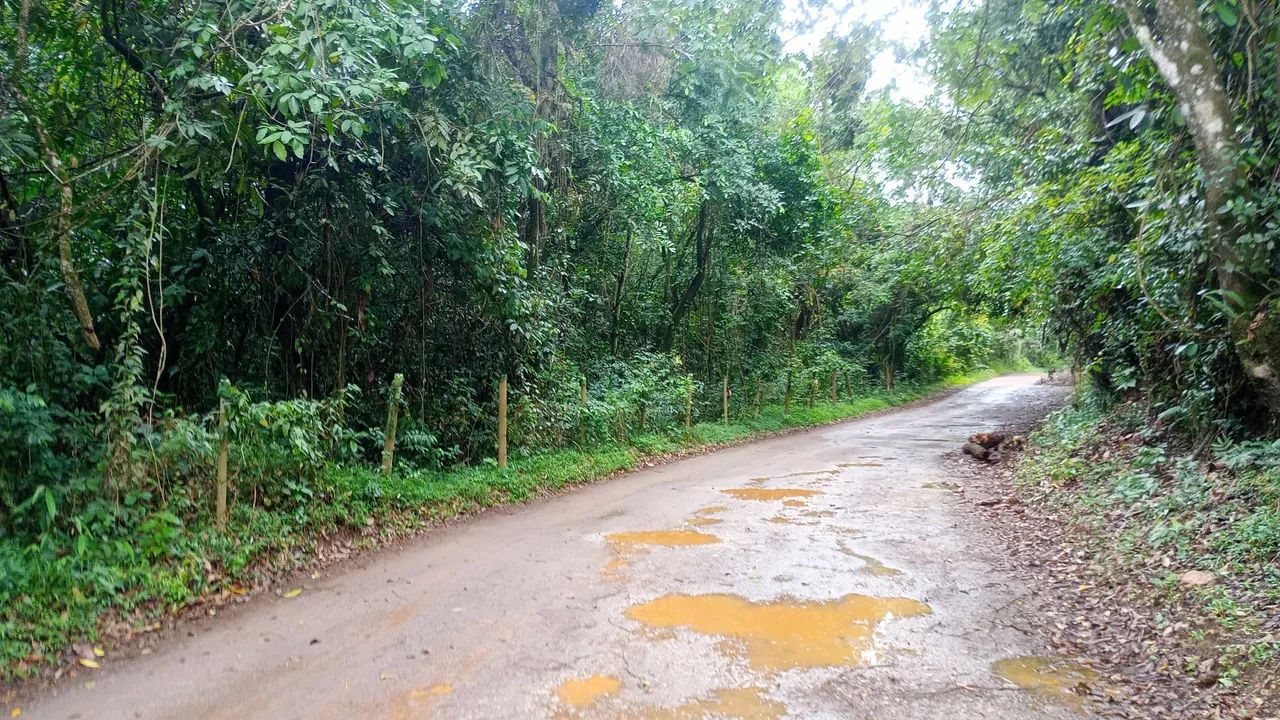 Área  em Onça do Pitangui.  Mg