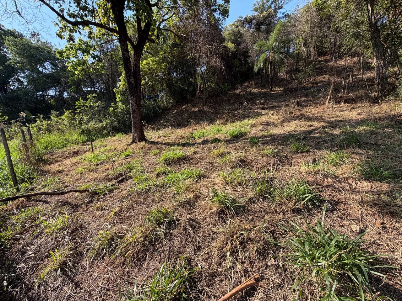 Lote 510m2  perto da SADA    - Foto 3