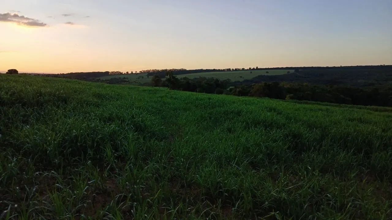 Sítio em Zona Rural - Agudos - Foto 5