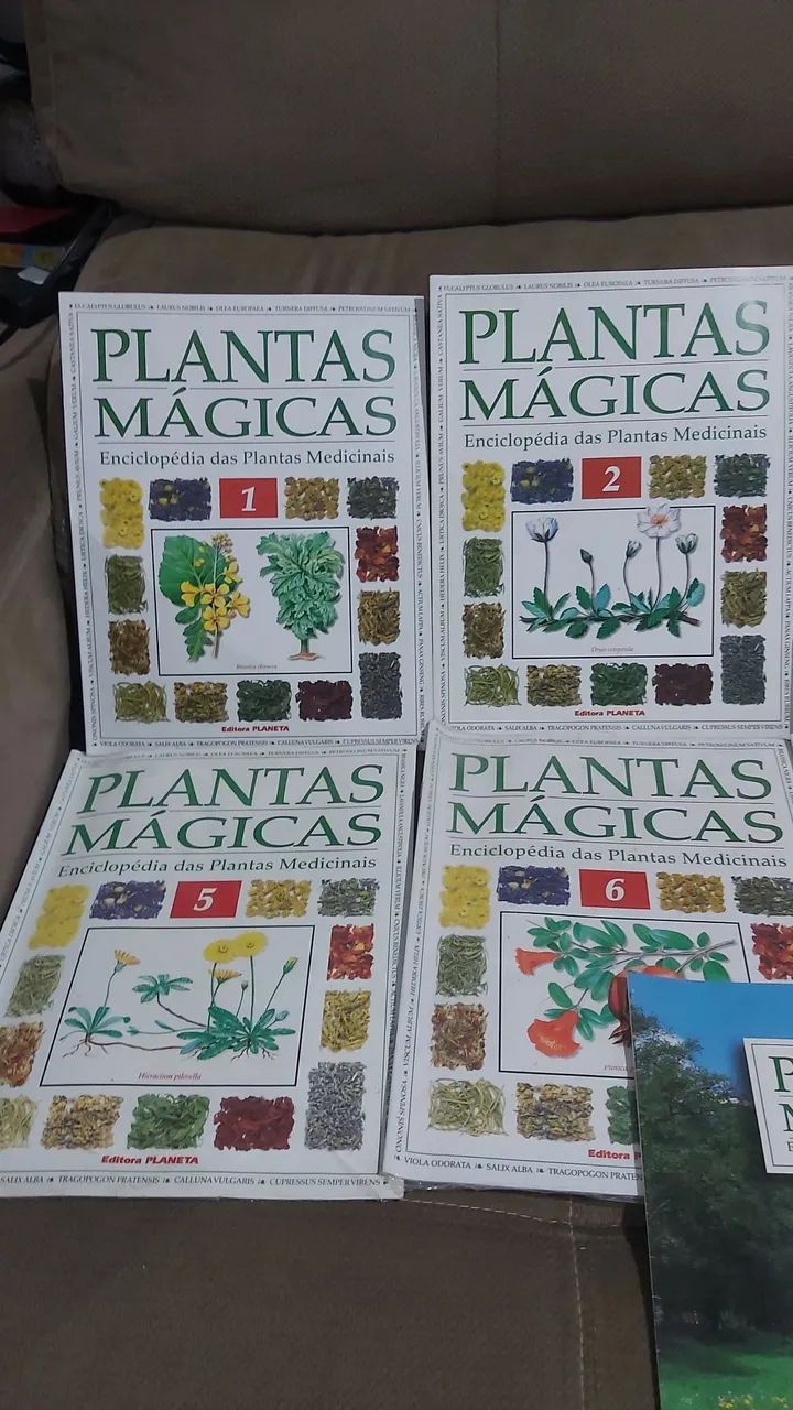  PLANTAS MÁGICAS - COLEÇÃO COMPLETA | 8 FASCÍCULOS + LIVRO - Foto 2