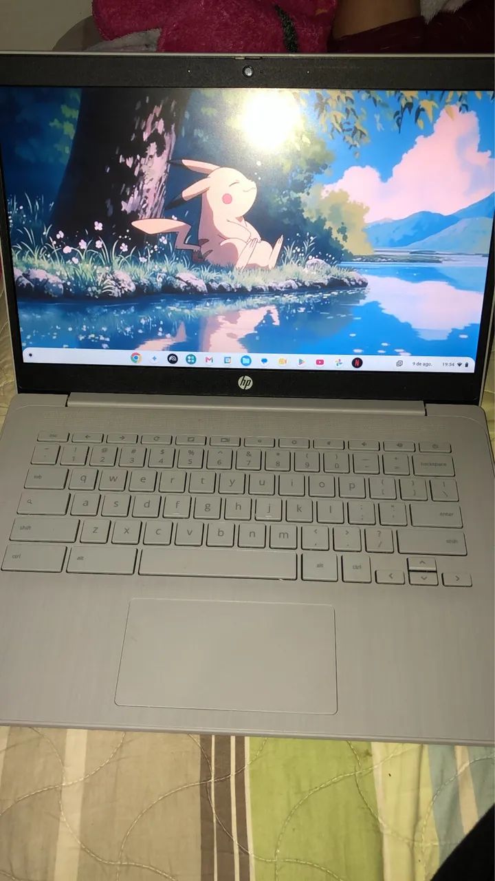 Notebook 
