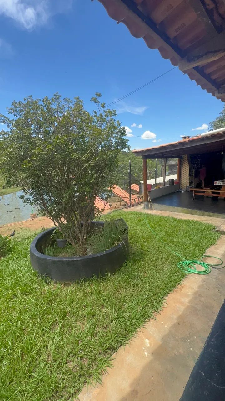 Chácara  - Foto 3