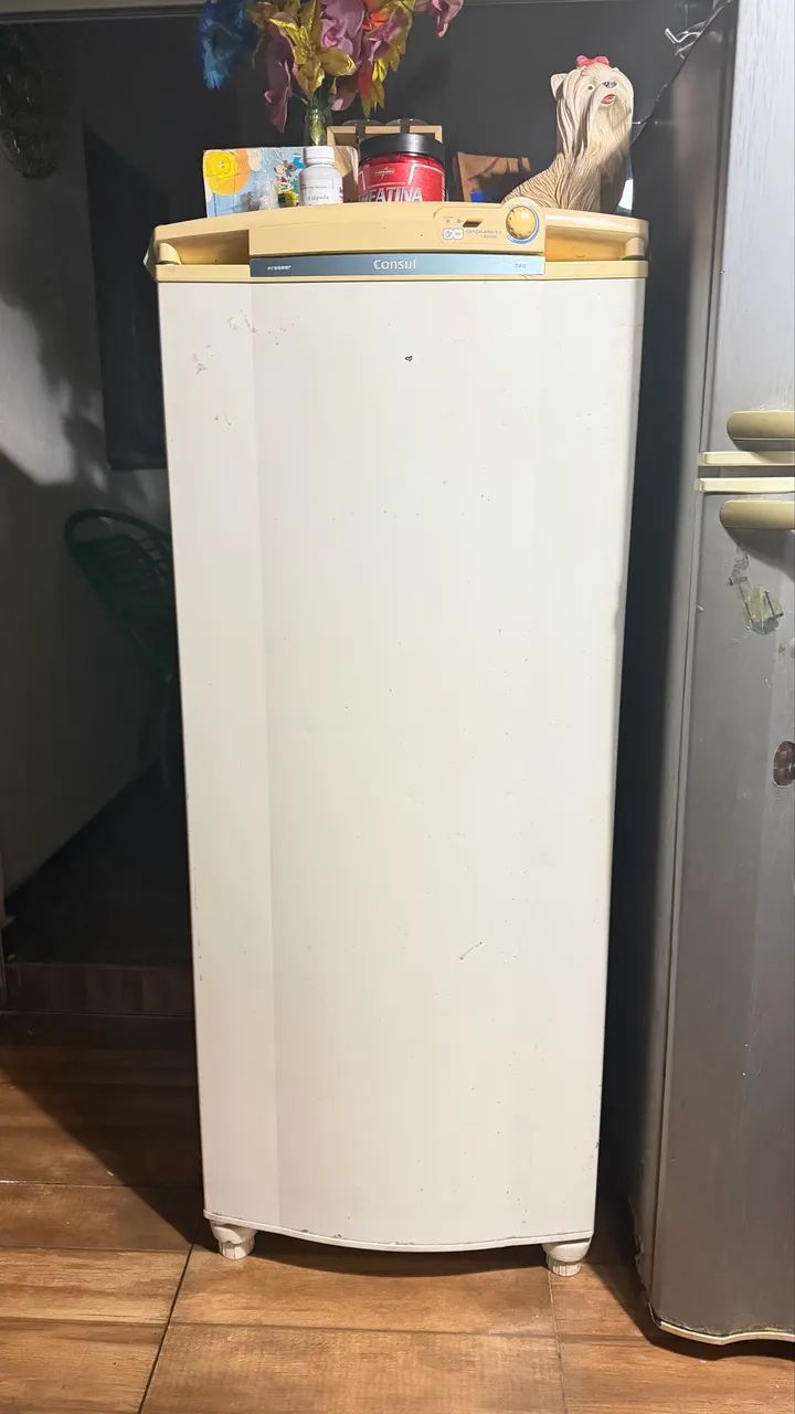 Freezer vertical 260L - Foto 2