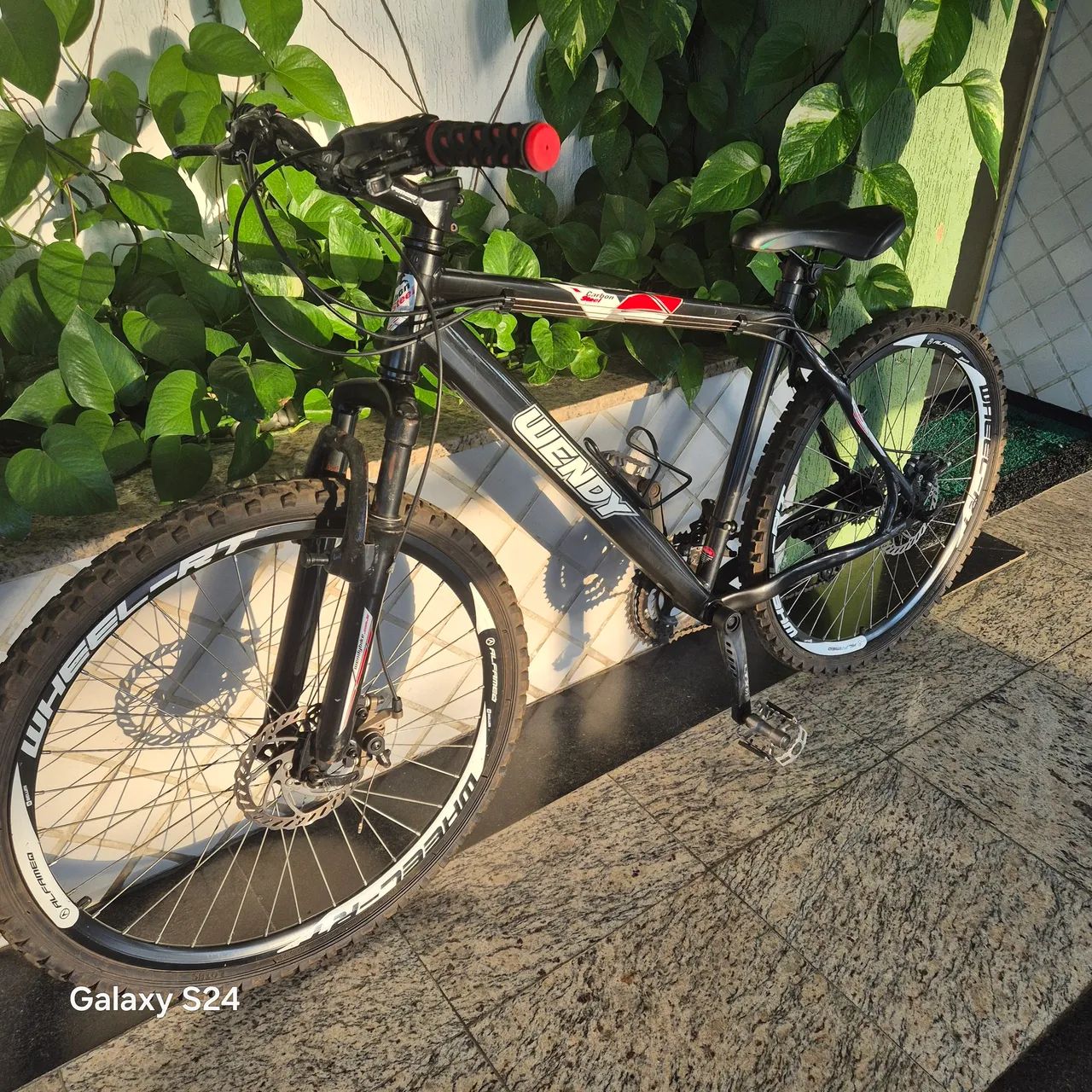 Bicicleta 