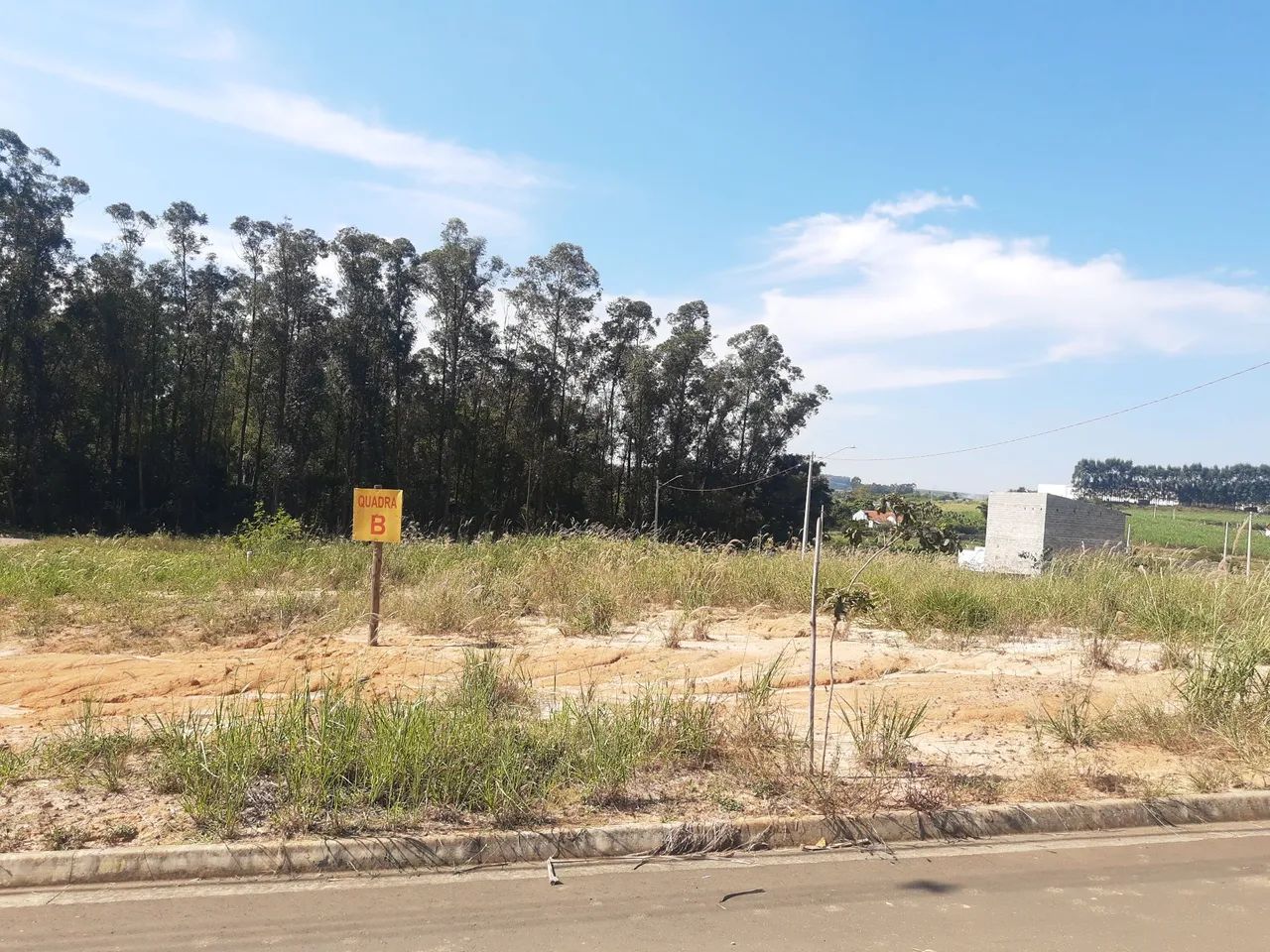 Foto - Americana - Cariobinha