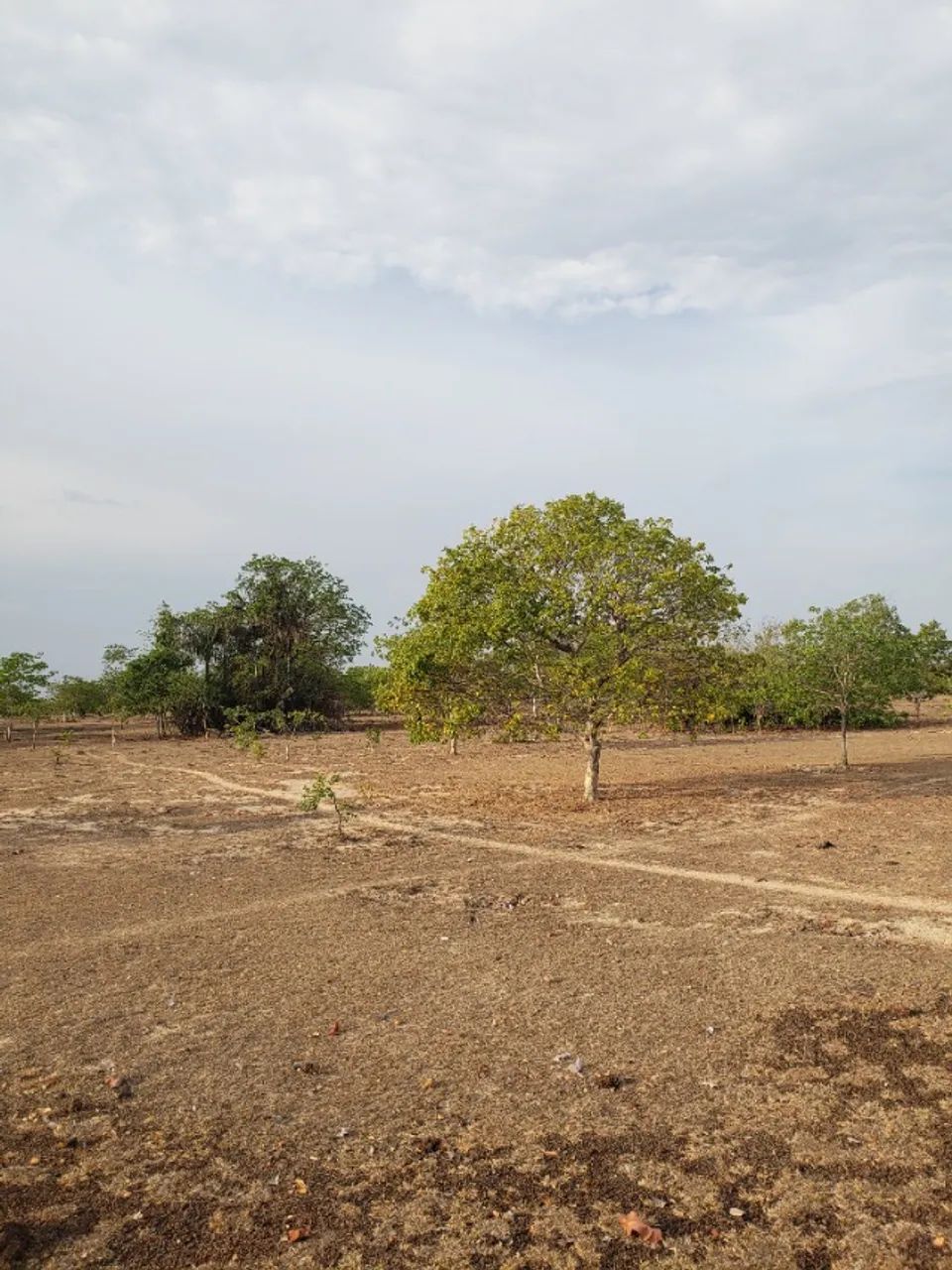 oferta terreno para sitio - Foto 5
