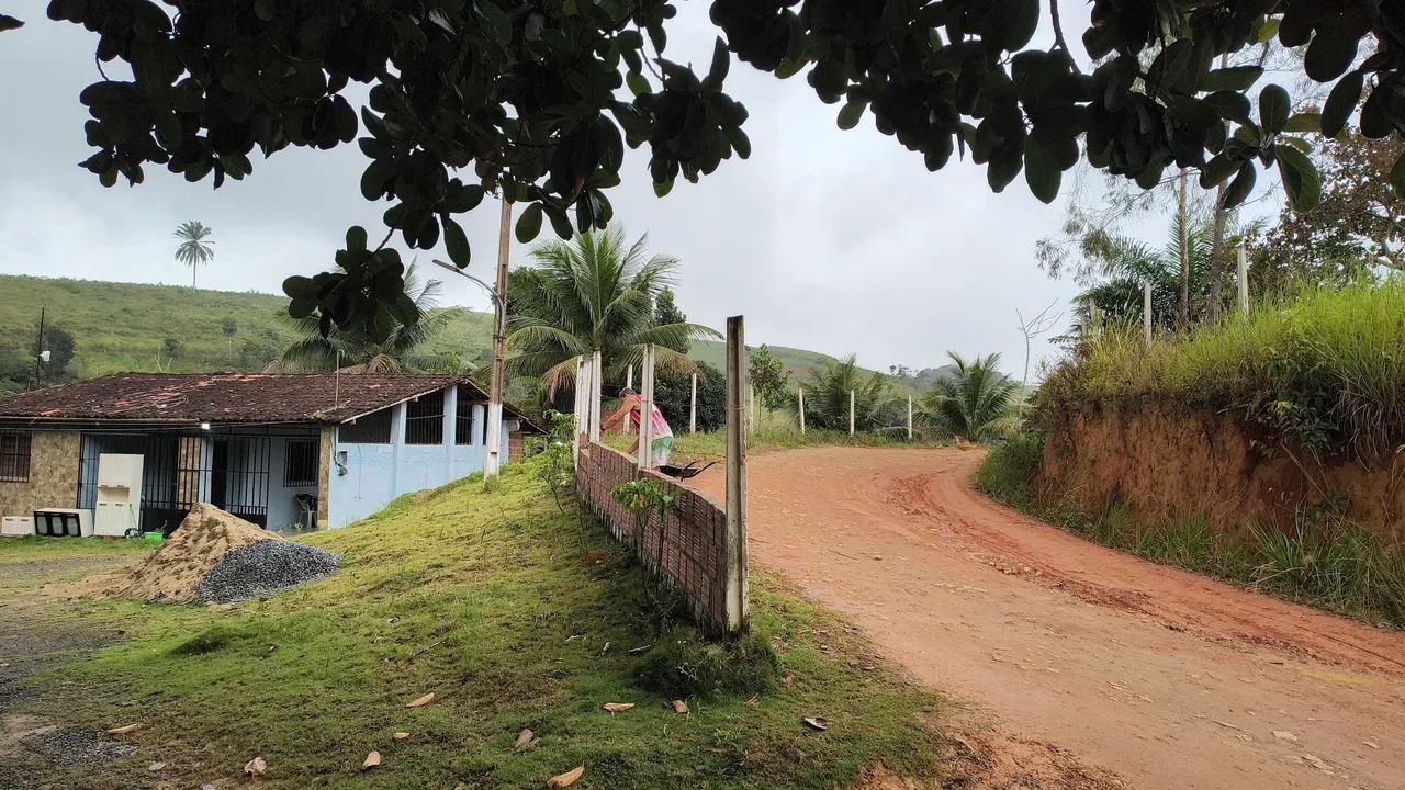 Sitio 2500 metros no Engenho Ipiranga  - Foto 2