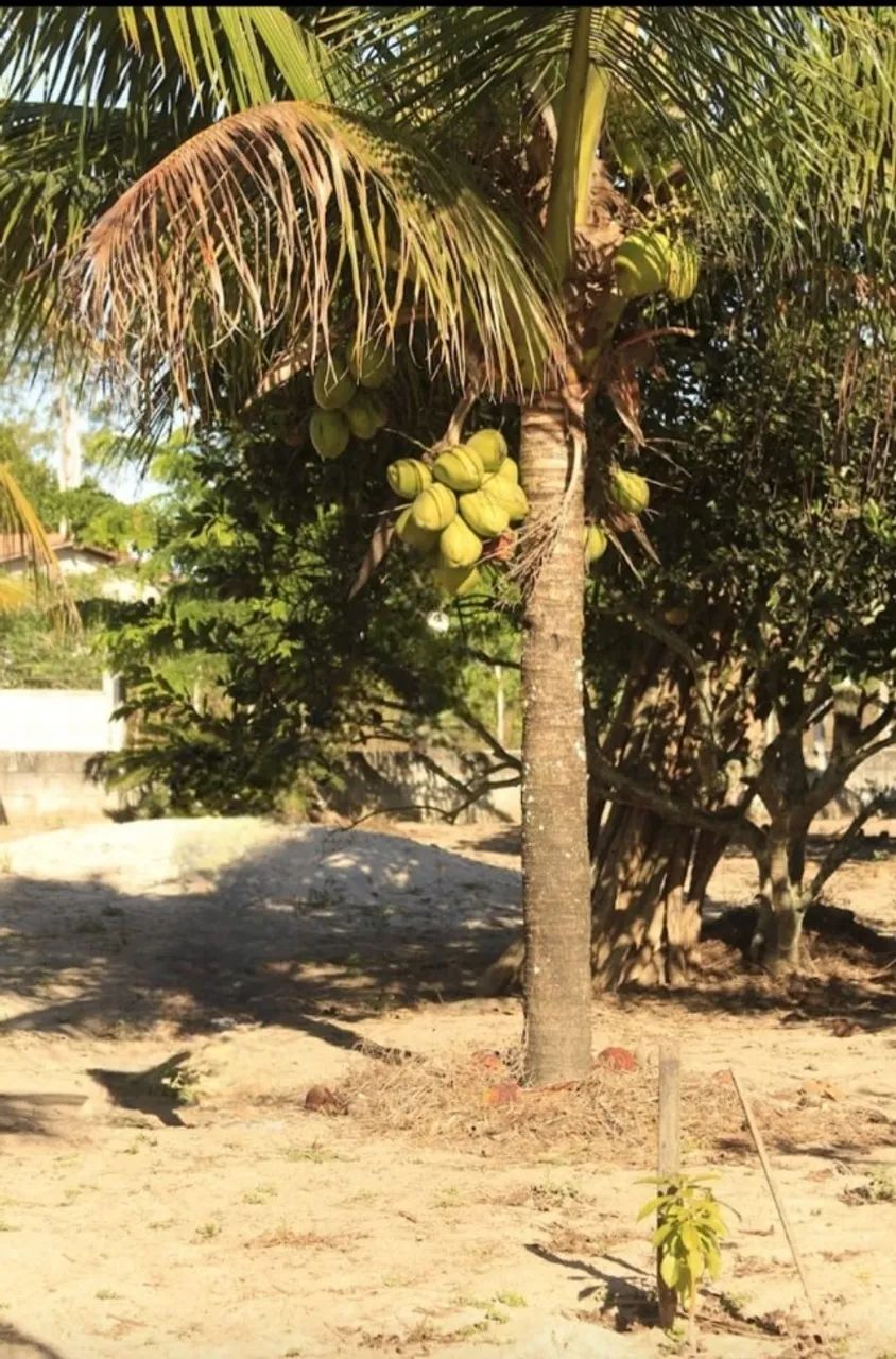 Oportunidade!  - Foto 4